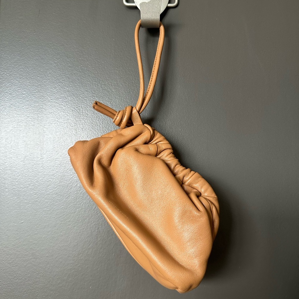 Mansur Gavriel Mini Cloud Clutch